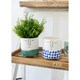 image 4 of KitchenCraft Planter Blue Dolomite Happy Face Blue