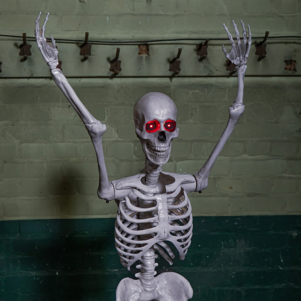 image 1 of 5ft (1.5m) Full Body Halloween Standing Skeleton with Posable Joints & Red LED Eyes