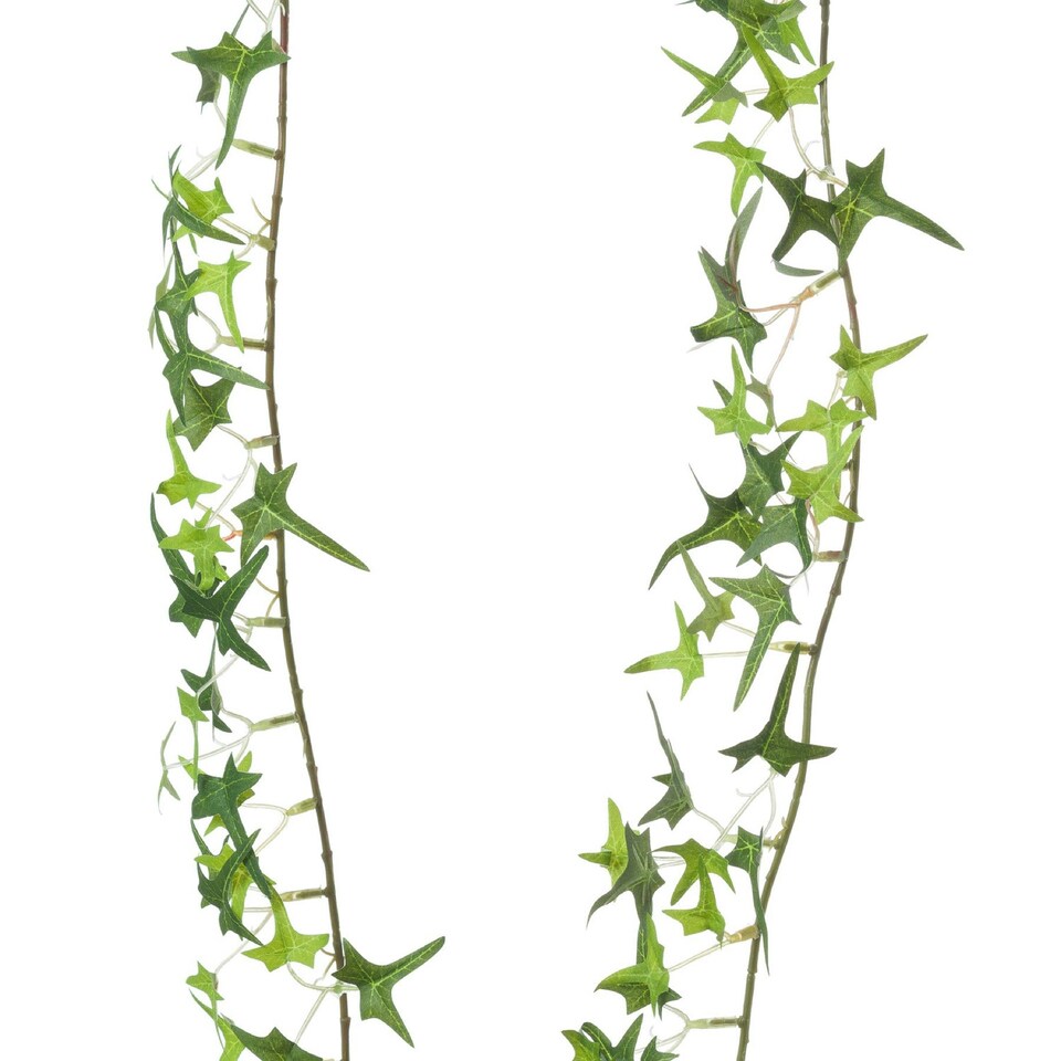 image 1 of Hill Interiors Ivy Garland - Green - 170cm x 5cm x 5cm