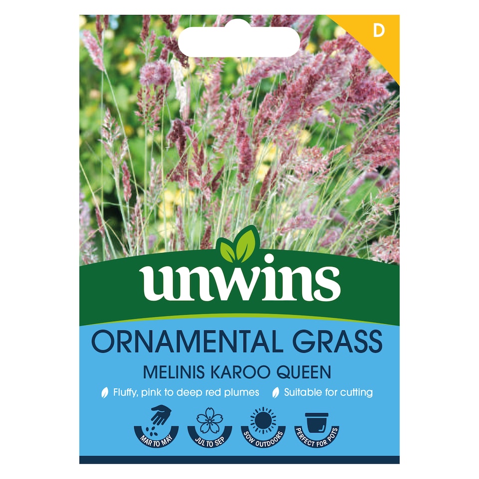 image 1 of Ornamental Grass Melinis Karoo Queen | Multi | Pink, Red | Flower Seeds | 1