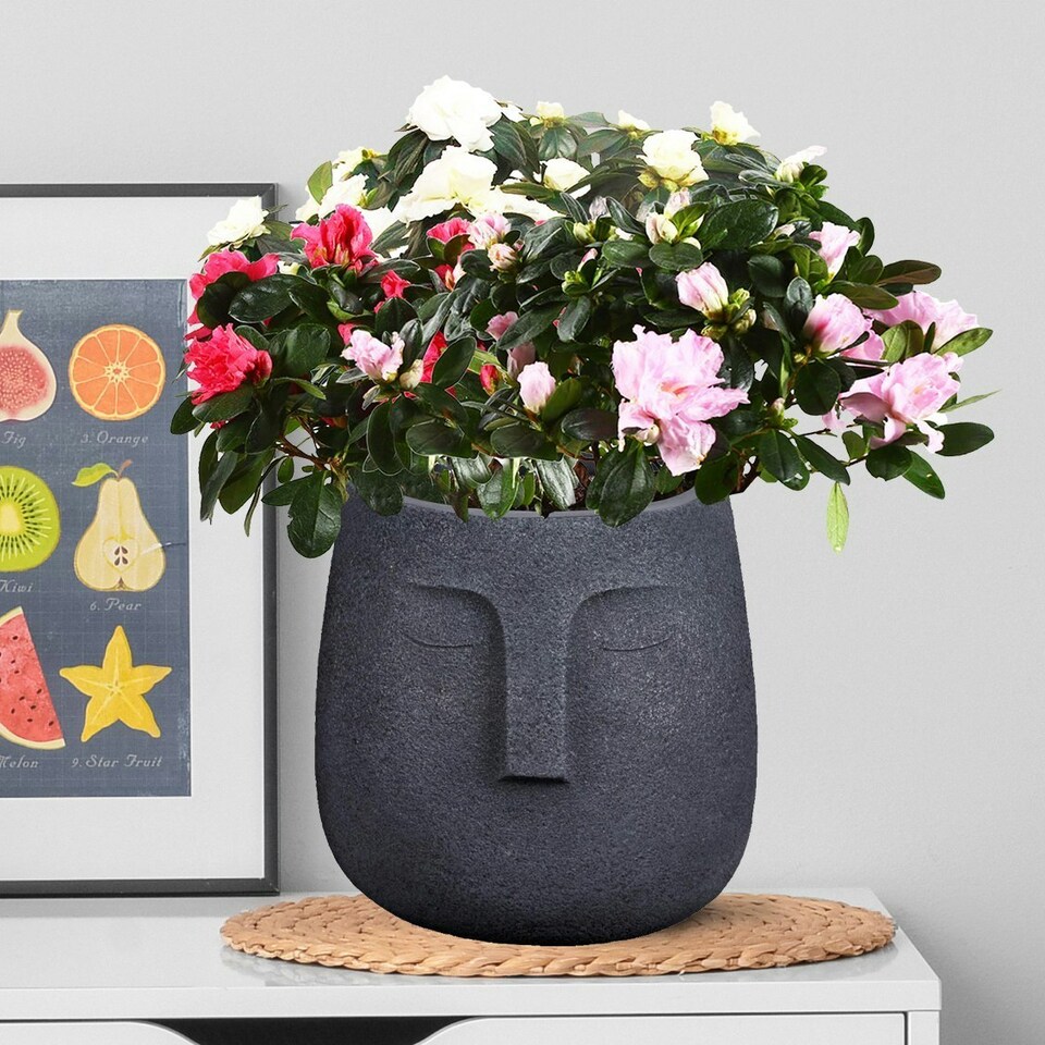 image 1 of Textured Concrete Effect Washed Black Oval Face Planter Indoor L30.5 D29.5 H29.5 cm, 13.9 ltrs Cap.