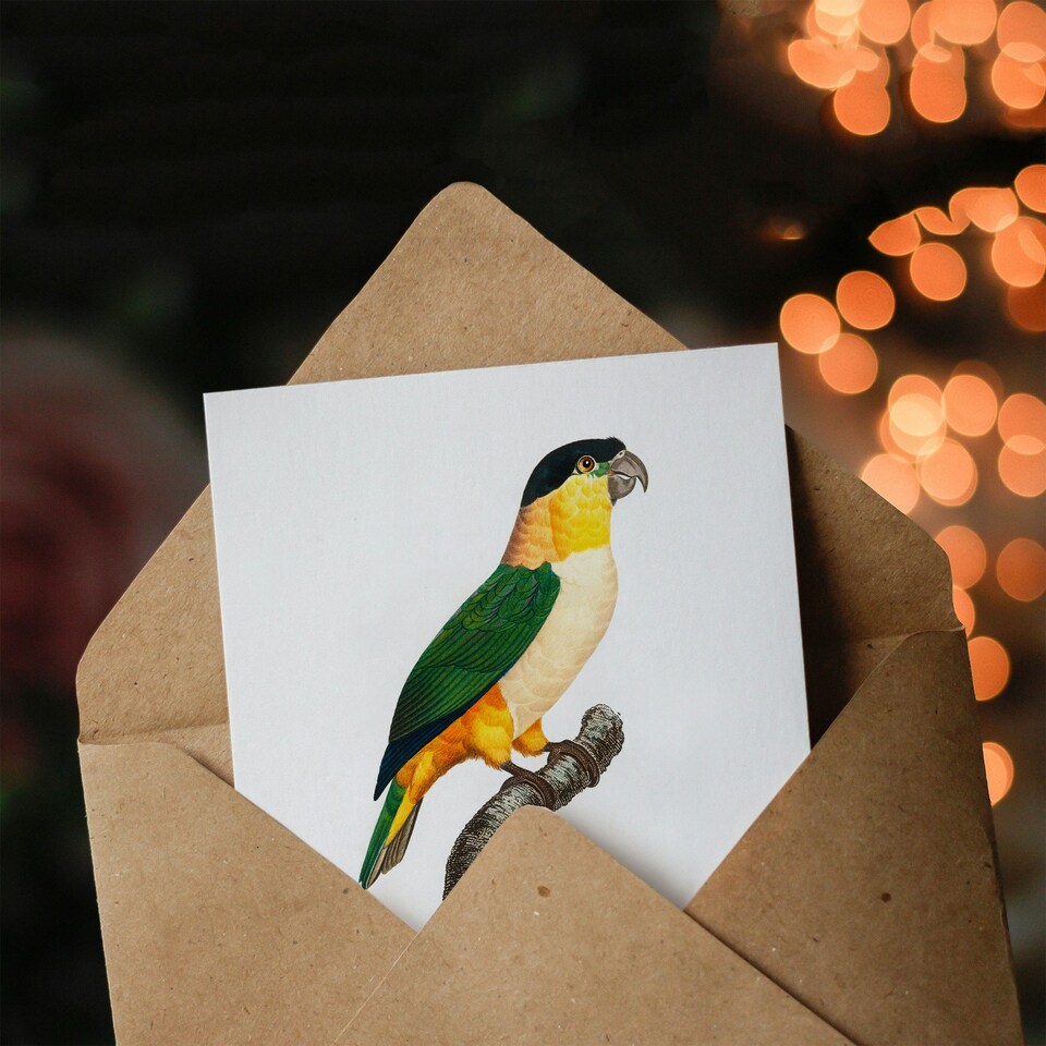 image 1 of Francois Levaillant Art Card The Black Headed Parrot