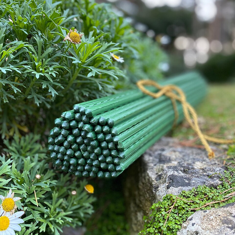 image 1 of Plastic Coated Metal Garden Plant Support Sticks (80cm) - Pack of 80