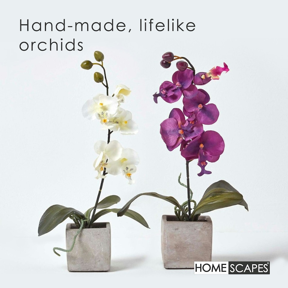 image 1 of Homescapes Set of 2 Cerise Pink & White Artificial Orchids in Pots, 40 cm