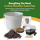 image 2 of Pronto Seed Sweet Pea Grow Your Own Kit with Decorative Bucket Planter - Little Sweetheart Mix - Ideal Gardening Gift
