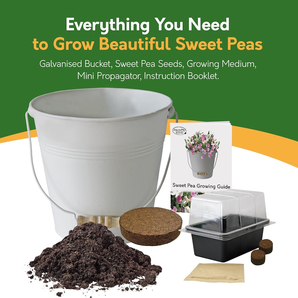 image 1 of Pronto Seed Sweet Pea Grow Your Own Kit with Decorative Bucket Planter - Little Sweetheart Mix - Ideal Gardening Gift
