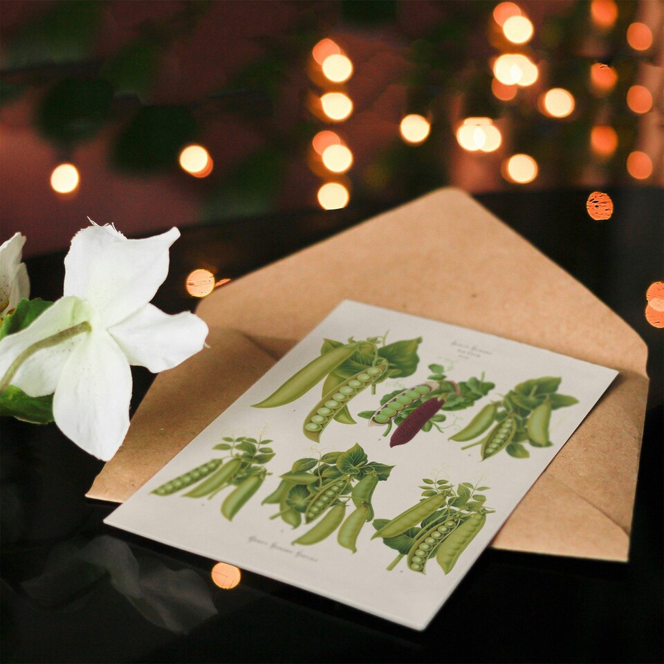 image 1 of Ernst Benary Art Card Pea Plant Varieties Vintage Botanical