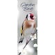image 1 of Garden Birds Slim 2026 Calendar | Slimline Wall Calendar | Bird Gift | Plastic Free Packaging | by Avonside Publishing [Calendar] Avonside Publishing Ltd