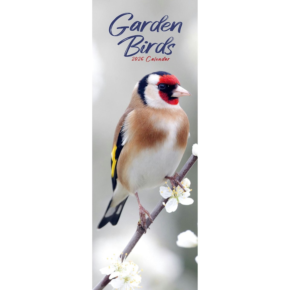 image 1 of Garden Birds Slim 2026 Calendar | Slimline Wall Calendar | Bird Gift | Plastic Free Packaging | by Avonside Publishing [Calendar] Avonside Publishing Ltd