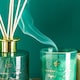 image 8 of Nicola Spring Scented Candle & Reed Diffuser Set - 130g - Sage & Seasalt | Green | Green