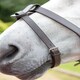image 2 of Shires Blenheim Flash Strap Brown | Size: Pony
Colour: H.Brown