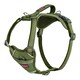 image 1 of Halti Anatomy Dog Harness - Green - M