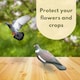 image 5 of Marco Paul Pack of 6 Pigeon Bird Scarer