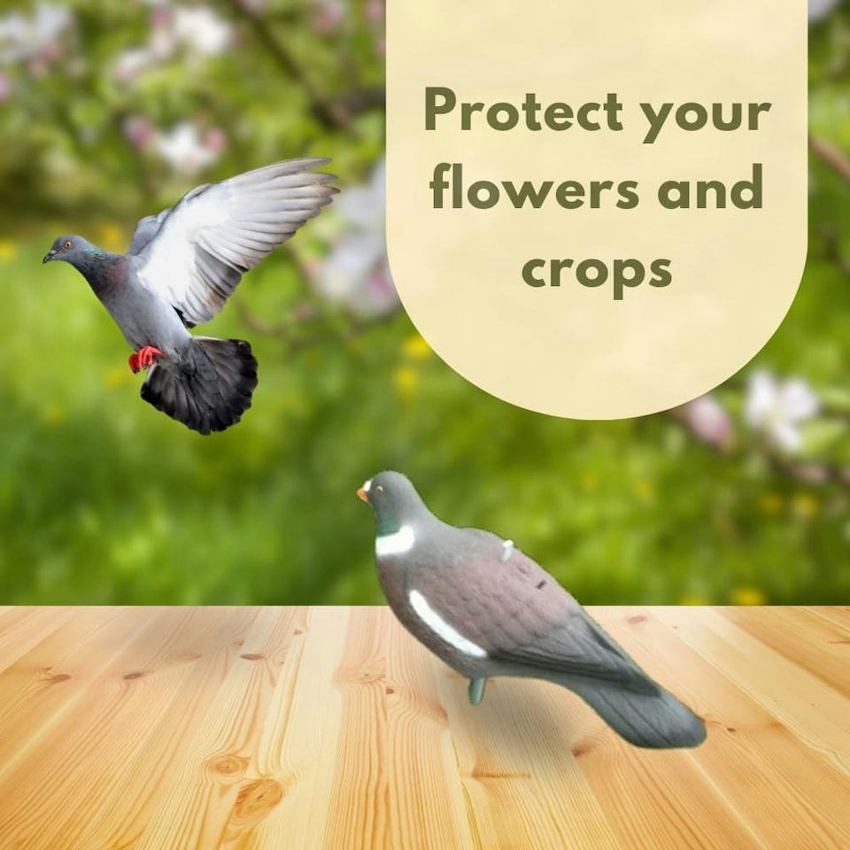 image 1 of Marco Paul Pack of 6 Pigeon Bird Scarer