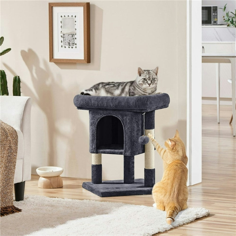 image 1 of Yaheetech 59 cm 2-Level Cat Tree with Condo Black