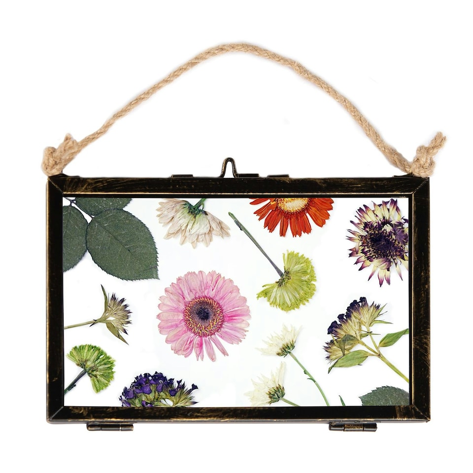 image 1 of Nicola Spring Hanging Metal Photo Frame - 6'' x 4'' - Black - Hanging Picture Frame Display Frame Poster Frame Picture Display