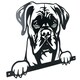 image 1 of Black Metal Peeking Boxer Silhouette with Fixing Plate Garden Ornament Gift
