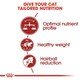 image 9 of Royal Canin Cat Fit 32 10KG