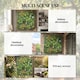 image 6 of Outsunny Grass Wall Panels, Greenery Backdrop Panels, Green | Green | Green, Yellowish-brown, Purple, White | 100 x 100 cm