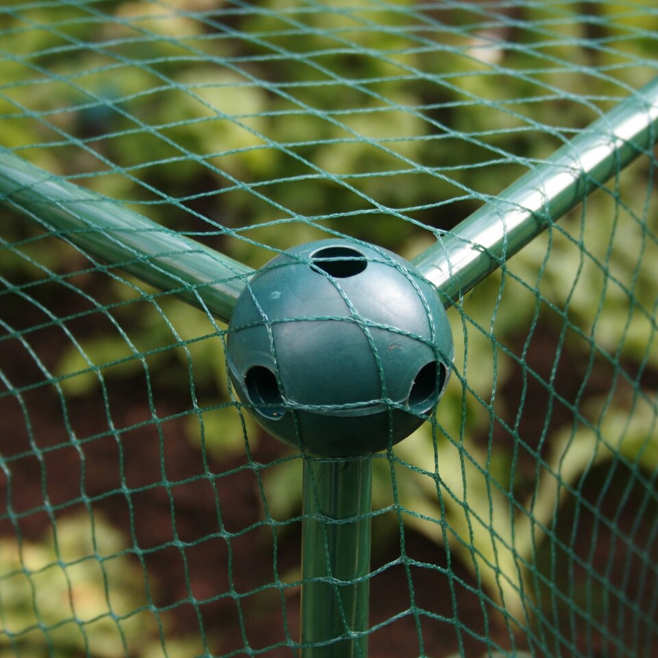 image 1 of GardenSkill Fruit & Vegetable Cage Kit with Insect Mesh 1.25m x 0.625m H - Quick Build Garden Crop Protection Frame for Brassicas, Raised Beds