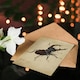 image 4 of Albrecht Durer Art Card Stag Beetle Nature Study Painting