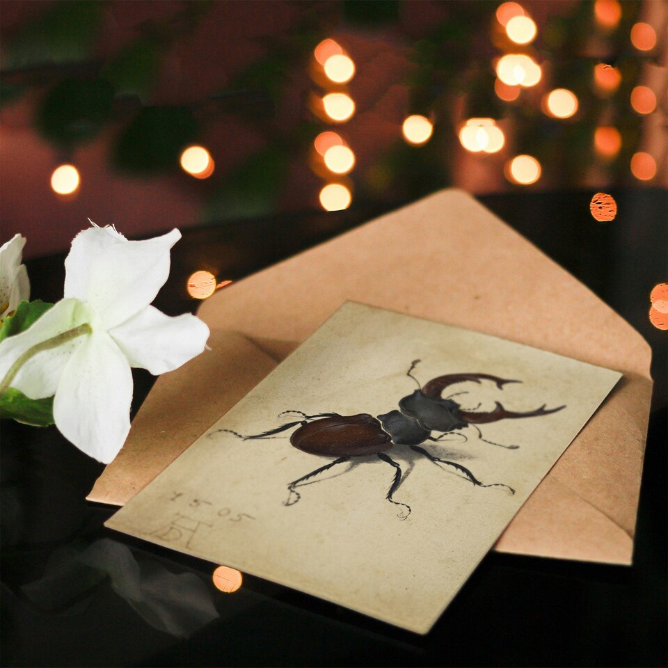 image 1 of Albrecht Durer Art Card Stag Beetle Nature Study Painting