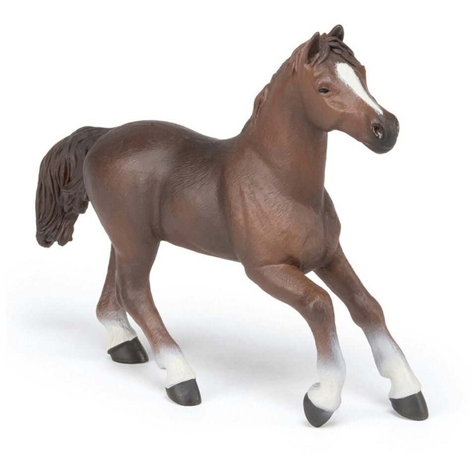 image 1 of PAPO Horse and Ponies Anglo-Arab Mare Toy Figure