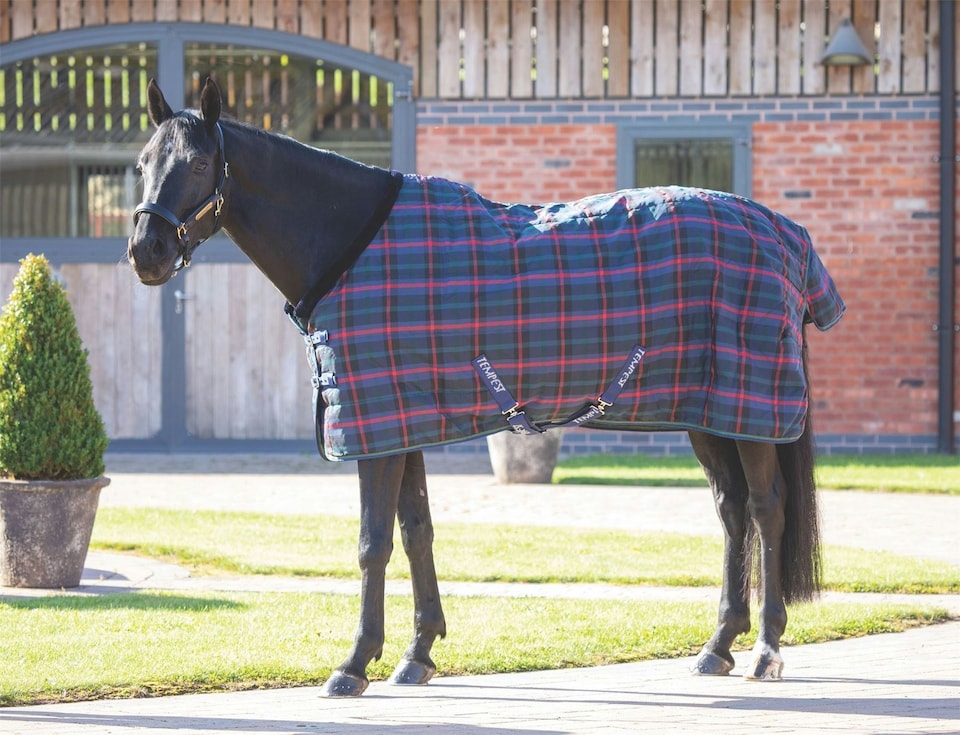 Shires Tempest Plus 100 Stable Rug Blue | Blue | Colour: Navy Tartan
Size: 6ft 0