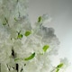 image 3 of 150cm Artificial White Blossom Tree