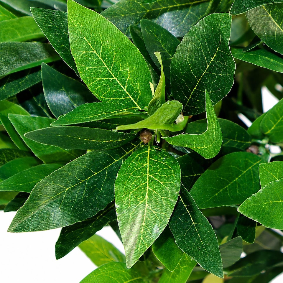 image 1 of 90cm (3ft) Plain Natural Trunk Artificial Topiary Bay Laurel Ball Tree | Green | 3ft