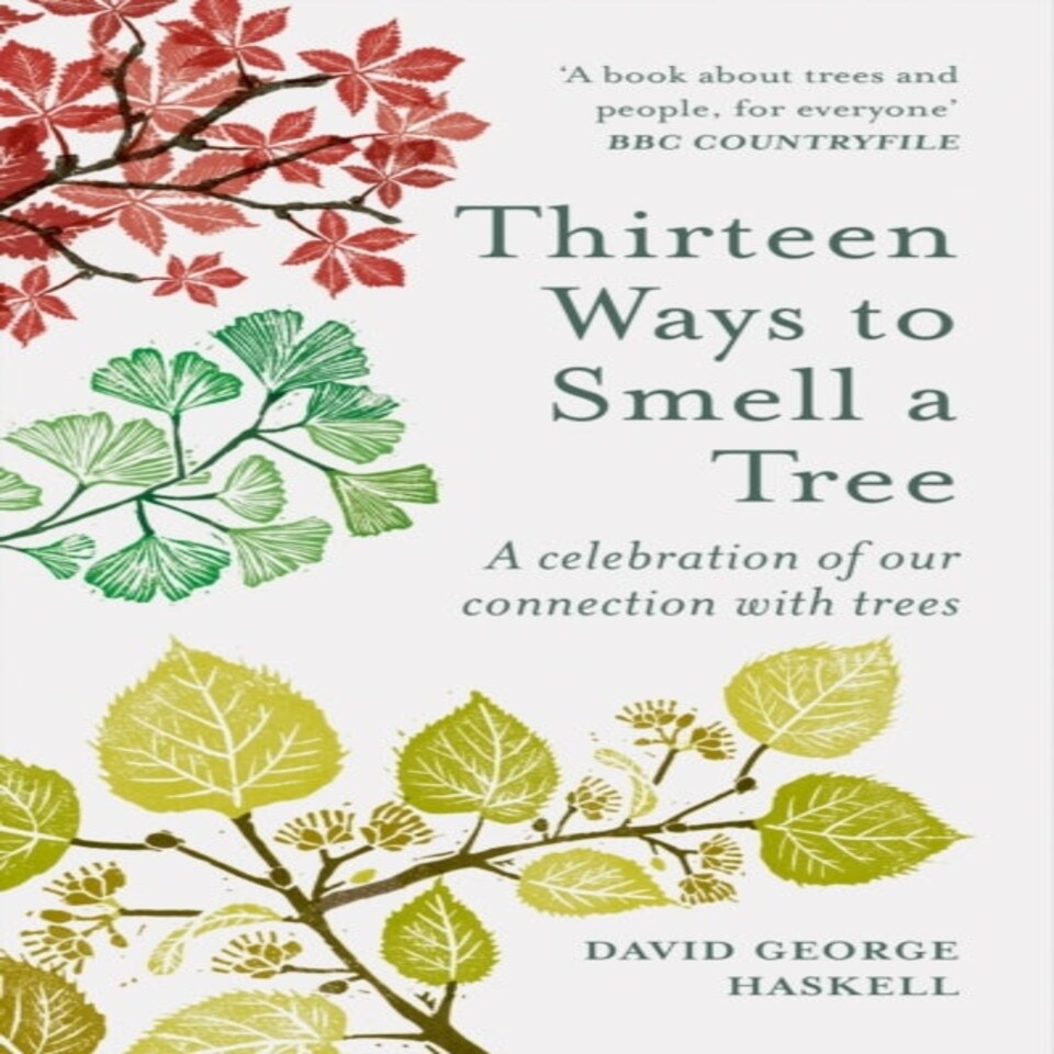 Thirteen Ways To Smell A Tree