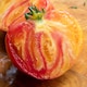 image 3 of Marshalls Garden Tomato Seeds 'Gourmansun' F1 (6 Seeds) | Green | Green, Yellow, Orange