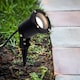 image 3 of ValueLights 4 Pack Modern Ground Spike Wall Mount IP65 Rated Outdoor Lights In Black Finish