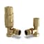 Polished Brass