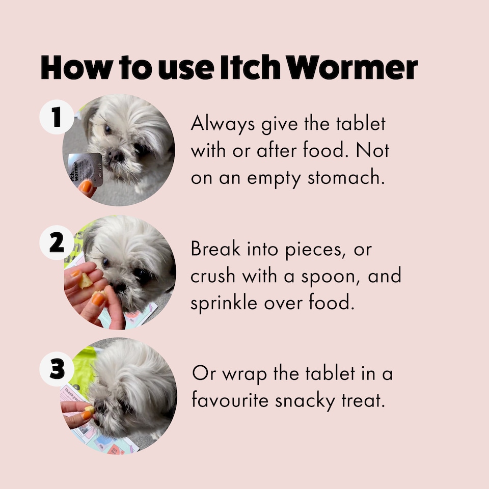 image 1 of Itch Flea Large Dog Flea and Tick Treatment and Worm bundle