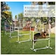 image 10 of PawHut 4 Pieces Dog Agility Training Equipment with Carrying Bag, White