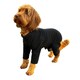 image 2 of Four Legged Dog Fleece - L / Black Black | L