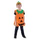 image 1 of Pumpkin Halloween Fancy Dress Costume Unisex Kids One Size
