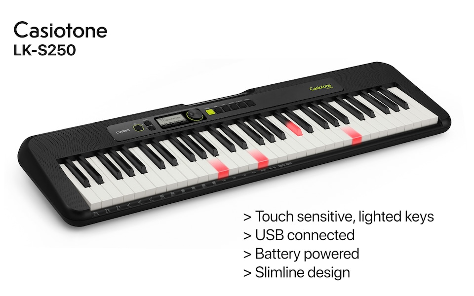 image 1 of Casio LK-S250AD