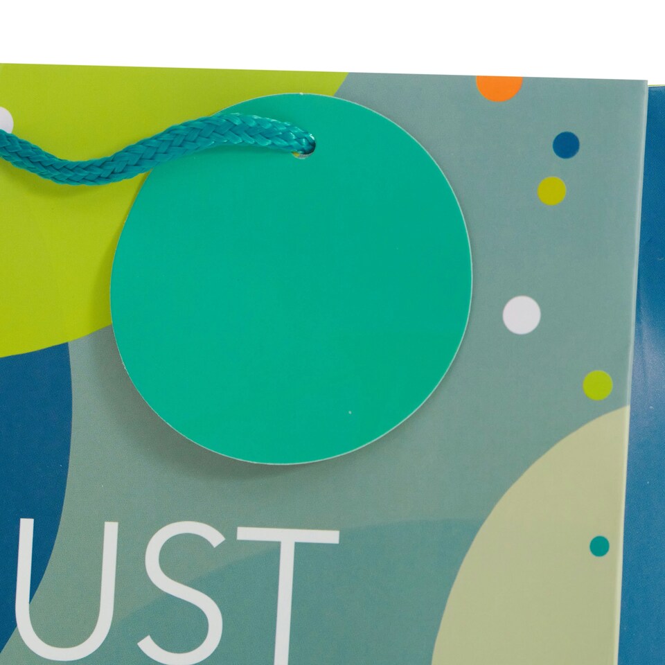 image 1 of Multipack of 3 Medium Gift Bags | Party Bags for Presents | Birthdays | For Him/Friend | Just for You Design