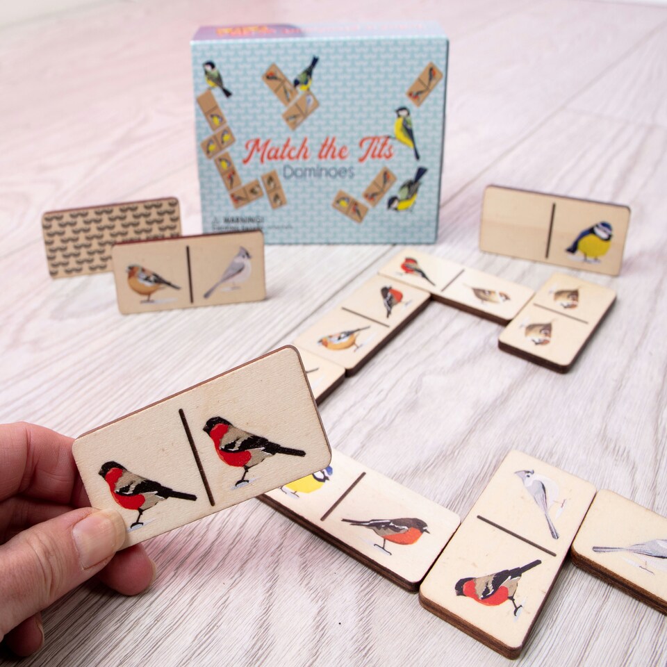 image 1 of Match The Tits Dominoes