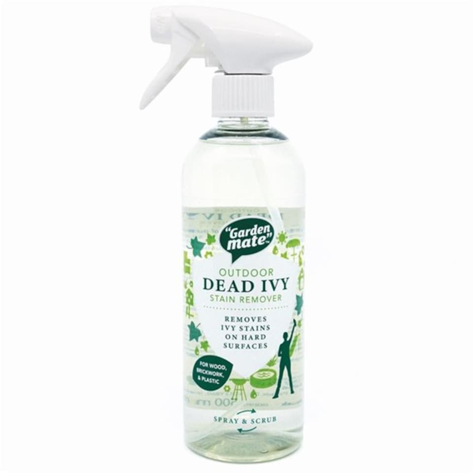 IVY clean QⅢ Garden Mate Dead Ivy Stain Remover 500ml - Tesco Groceries