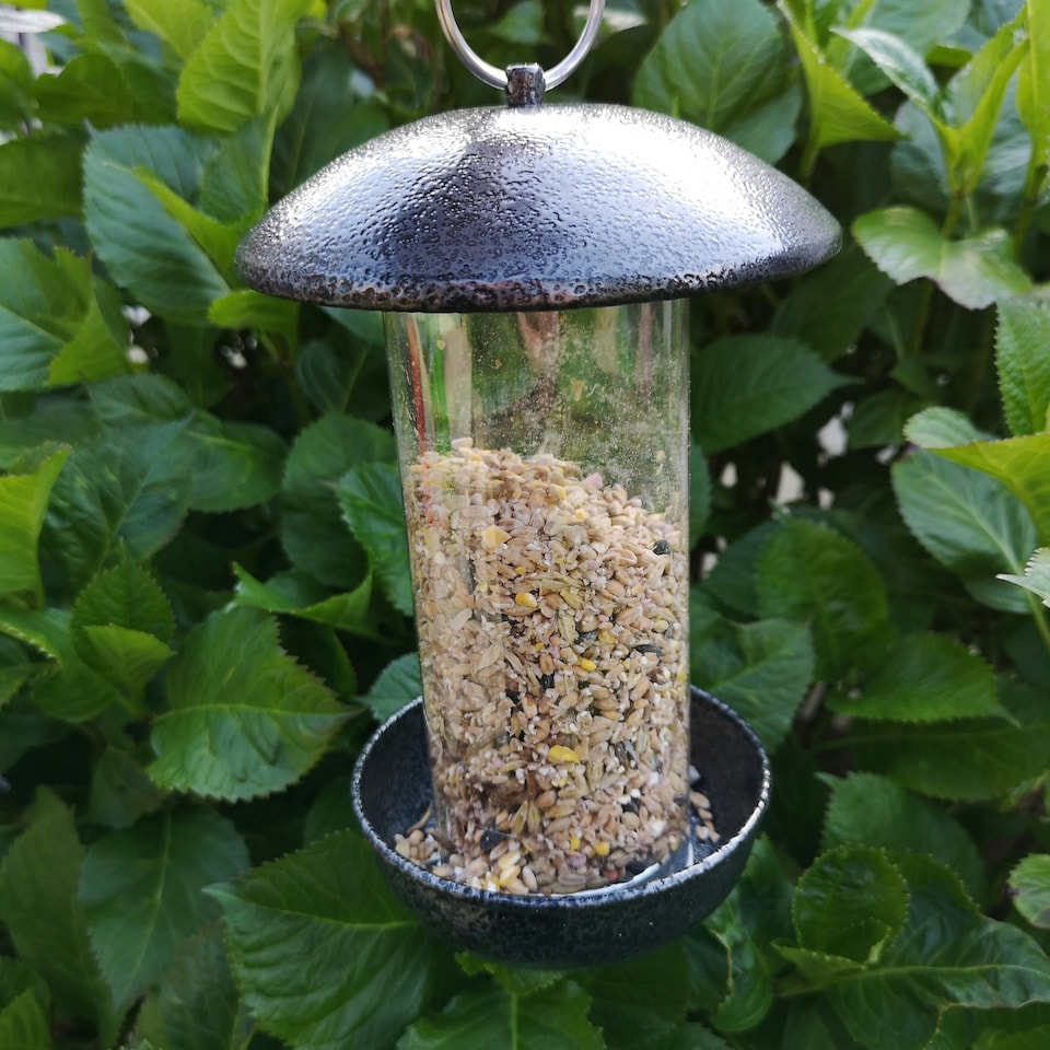 image 1 of Tom Chambers 2 Port Garden Wild Bird Hanging Hammered Steel Black and Silver Seed Feeder