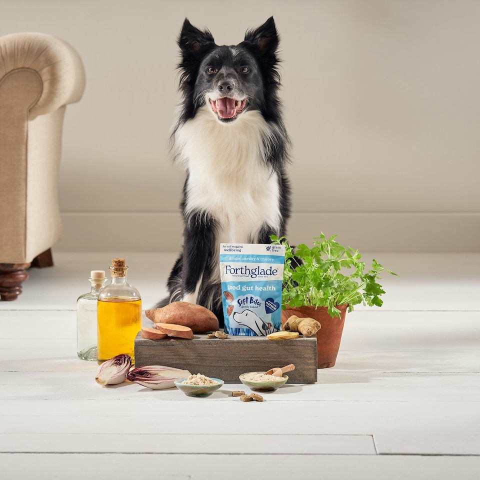 image 1 of Parsley, Ginger & Chicory Digestive Soft Bite Dog Treats (8x90g)