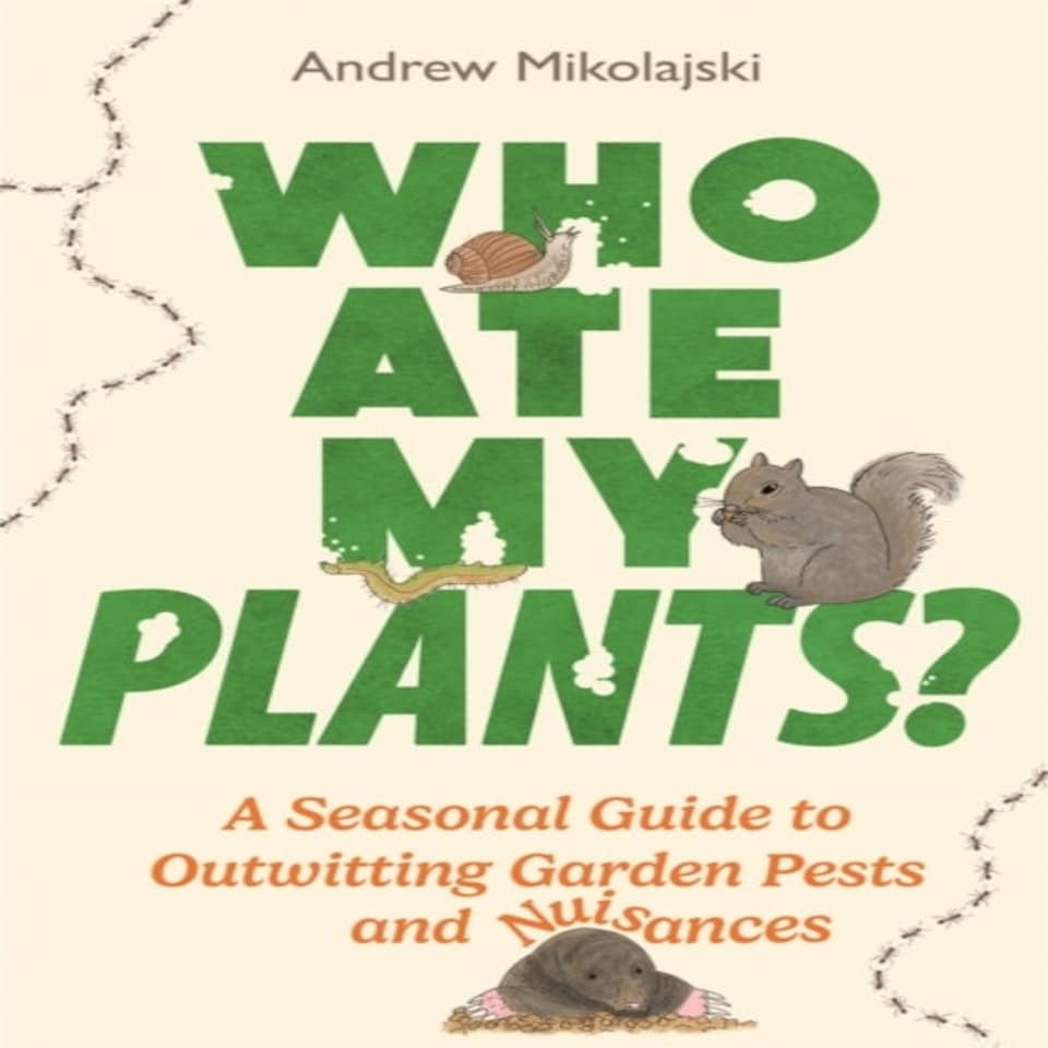 Who Ate My Plants