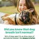 image 5 of TropiClean Fresh Breath Dog Teeth Cleaning Wipes 50pk