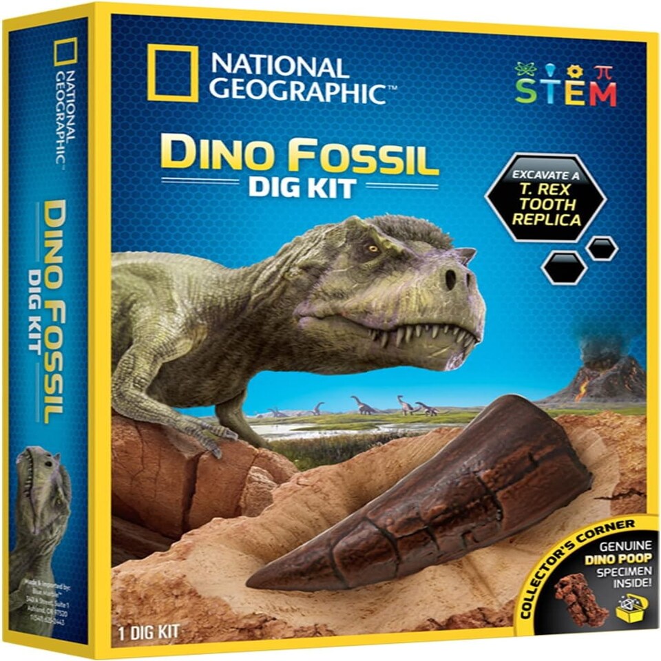 image 1 of National geographic dinosaur dig kit
