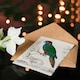 image 4 of Oliver Goldsmith Art Card Parakeet Parrot Bird Drawing