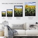 image 3 of A Kansas sunflower field up close Highsmith Huge Wall Art Print 18X24 In