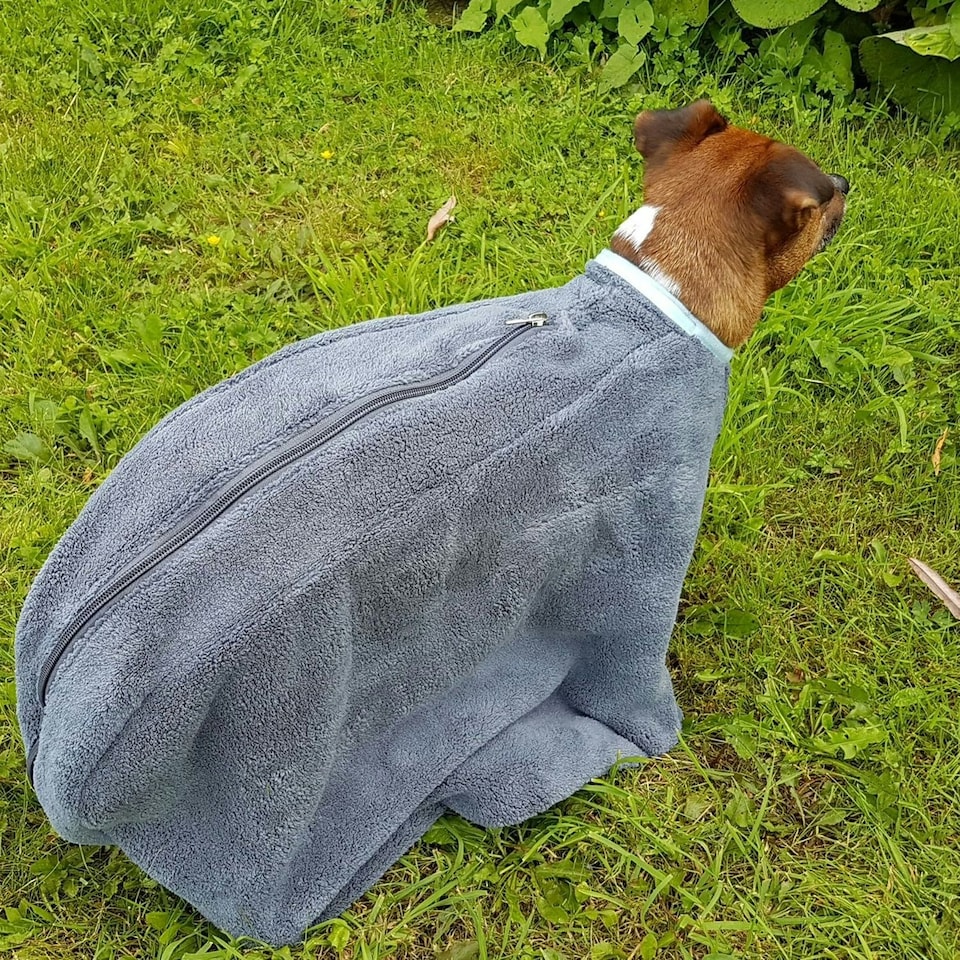 image 1 of Henry Wag Dog Drying Coat - Grey - Large